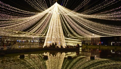 Alumbrado en Pereira